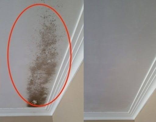 Tẩy mốc, xử lý mốc trần tường nhà
